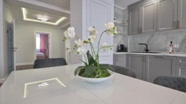 Gri ve beyaz lüks mutfak modern tarzda.