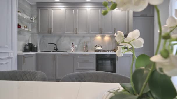Cocina de lujo gris y blanca en estilo moderno — Vídeo de stock