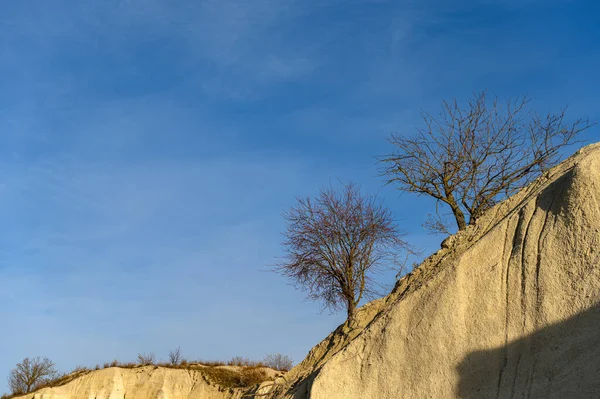 石灰岩采石场顶部有树的石灰岩悬崖 — 图库照片
