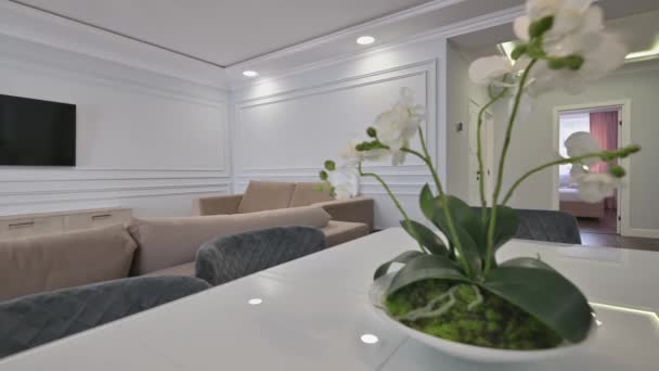 Luksusowy apartament typu studio z kuchnią i salonem w nowoczesnym stylu — Wideo stockowe