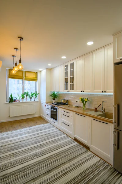 Cozy modern kitchen interior