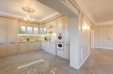 Lüks bej ve altın rengi klasik mutfak ve stüdyo dairesinin içindeki oturma odası.