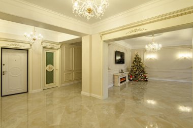 Oturma odası ve giriş salonu olan modern lüks bir daire.