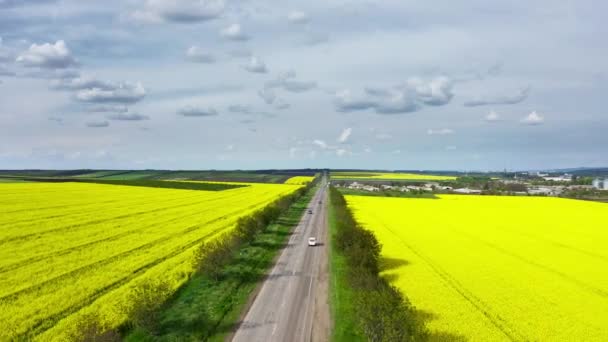 Luftaufnahme gelb blühender Rapsfelder — Stockvideo