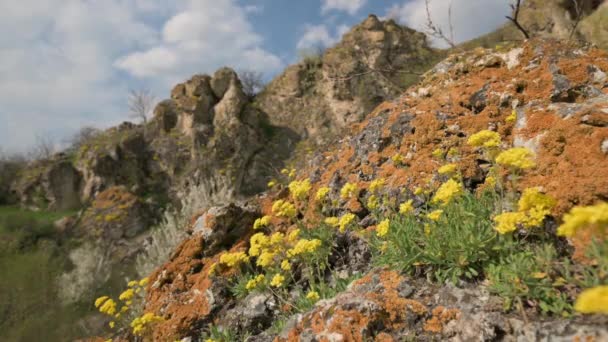 Vista para Duruitoare Gorge na primavera, Moldávia — Vídeo de Stock