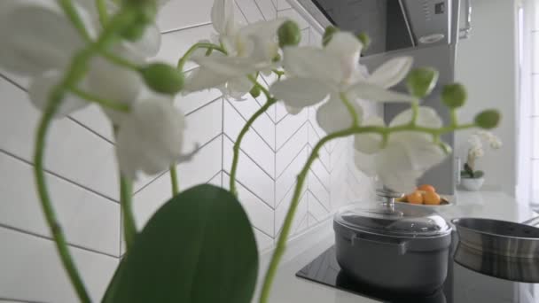 Detailní záběr na pracovní plochu v luxusní moden klasické šedé kuchyně — Stock video