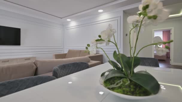 Luxusní studio apartmán s kuchyní a obývacím pokojem v moderním stylu — Stock video