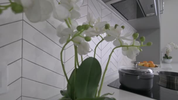 Närbild av bänkskiva på lyxig modern klassisk grå kök — Stockvideo