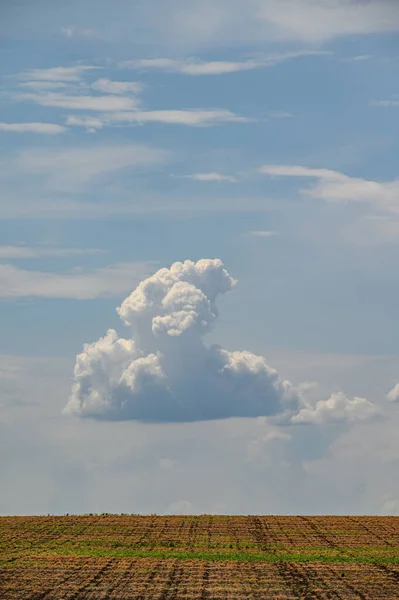 Μονό σύννεφο στον γαλάζιο ουρανό πάνω από το γεωργικό πεδίο — Φωτογραφία Αρχείου