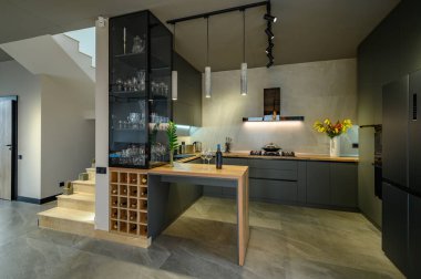 Mutfağı ve oturma odası olan modern büyük lüks stüdyo daire.