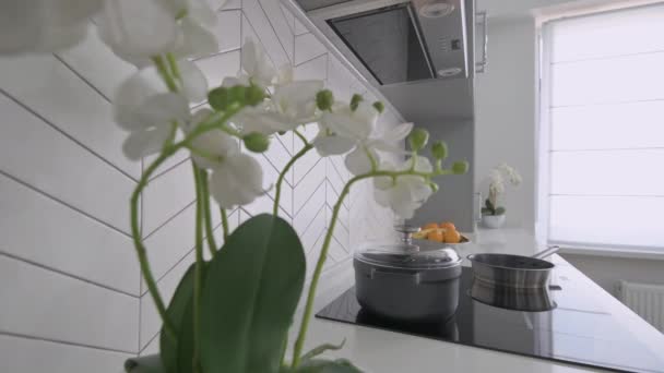 Close-up van werkblad in luxe moderne klassieke grijze keuken — Stockvideo