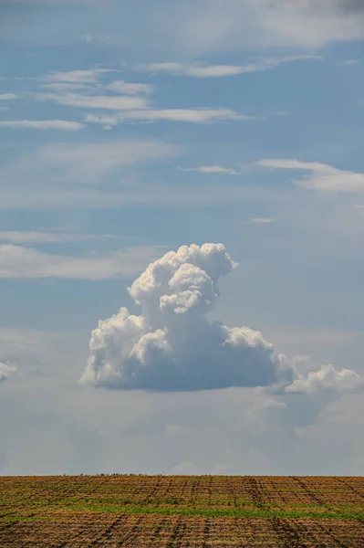 Einzelne Wolke am blauen Himmel über landwirtschaftlichem Feld — Stockfoto