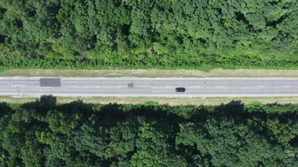 Route avec des voitures conduisant à travers la forêt verte, vue de dessus — Video