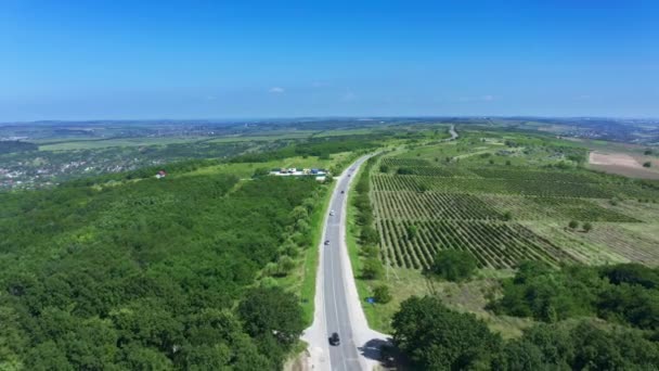 Yeşil ormandan geçen arabalı bir yol. — Stok video