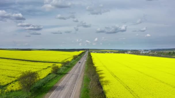 Letecký pohled na žlutě kvetoucí pole řepky olejné — Stock video