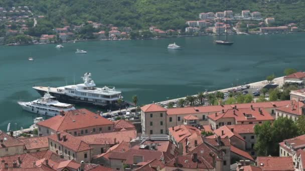 Bucht und Hafen von Kotor im Sommer von oben gesehen, Montenegro — Stockvideo