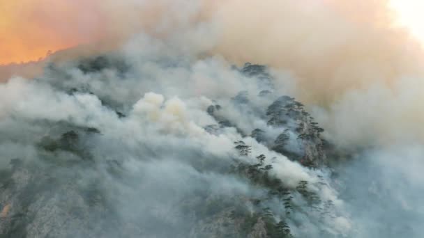 2021年8月にモンテネグロのピヴァ湖の近くの山の森の上の山火事 — ストック動画