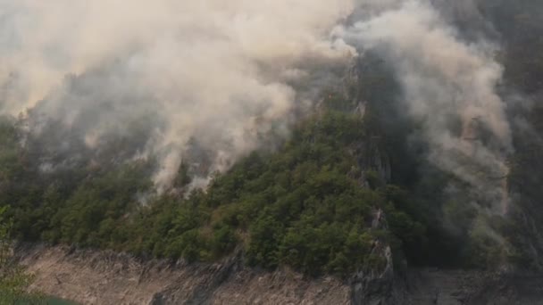 Дикий пожар над горным лесом возле озера Пива в Черногории в августе 2021 года — стоковое видео