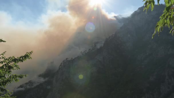 Άγρια φωτιά πάνω από ορεινό δάσος κοντά στη λίμνη Πίβα στο Μαυροβούνιο τον Αύγουστο του 2021 — Αρχείο Βίντεο