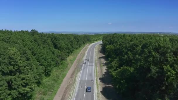 Road with cars driving through the green forest — Stock Video