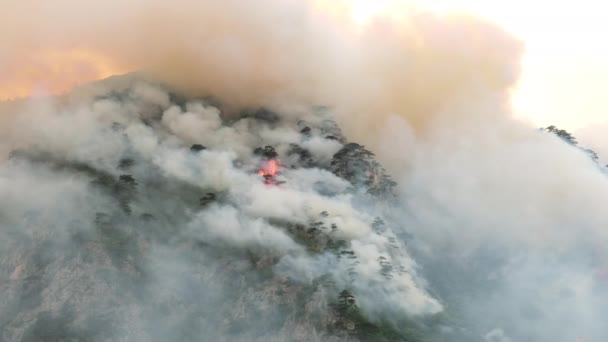 Άγρια φωτιά πάνω από ορεινό δάσος κοντά στη λίμνη Πίβα στο Μαυροβούνιο τον Αύγουστο του 2021 — Αρχείο Βίντεο