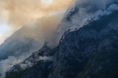 Karadağ 'ın ulusal parkındaki Piva Gölü' ndeki orman yangını