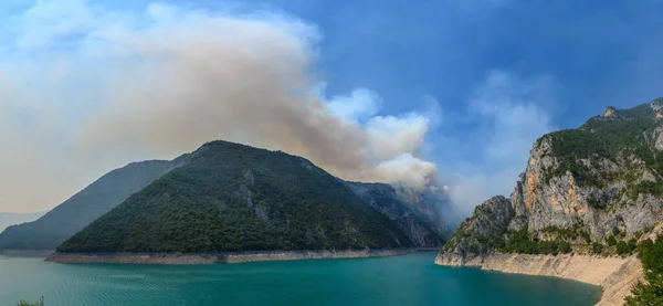 Wildfire at Piva Lake in national park of Montenegro — Stock Photo, Image