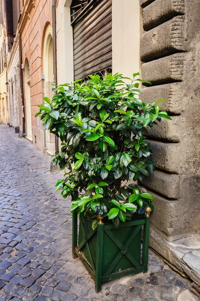 Staré ulice Říma, Itálie — Stock fotografie