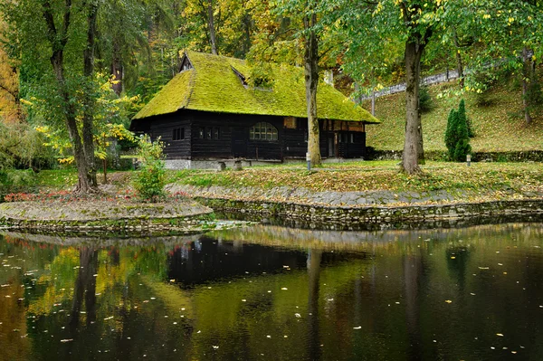 Trähus med mossa på taket — Stockfoto