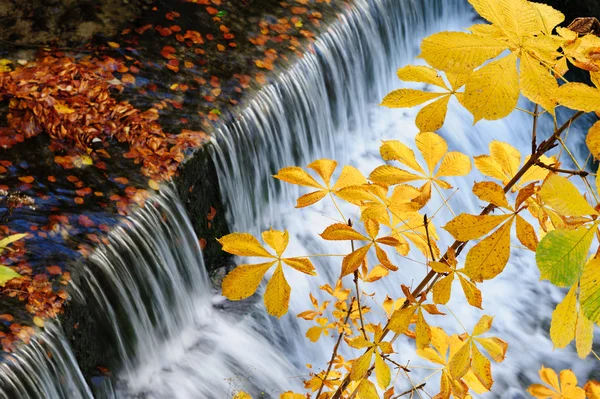 Cascade à l'automne — Photo