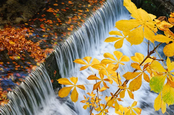 Cascade à l'automne — Photo