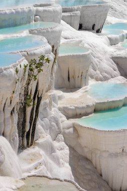 Pamukkale 'deki travertin havuzları ve terasları, hindi