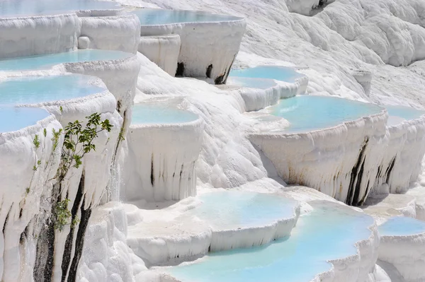 Trawertynowe baseny i tarasy w pamukkale, indyk — Zdjęcie stockowe