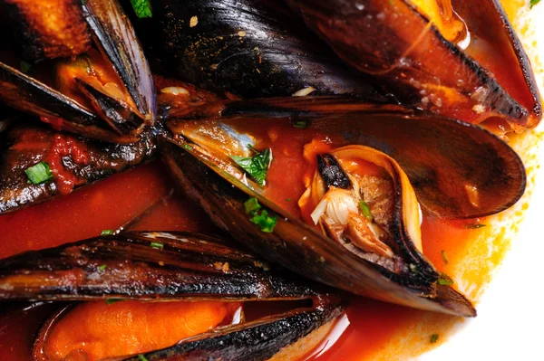 Mussels in italian rustic style — Stock Image Mussels in italian rustic style Royalty Free Stock Images
