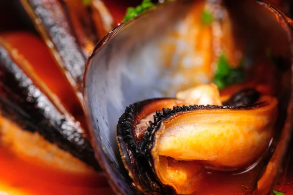 Cozze in stile rustico italiano — Foto Stock