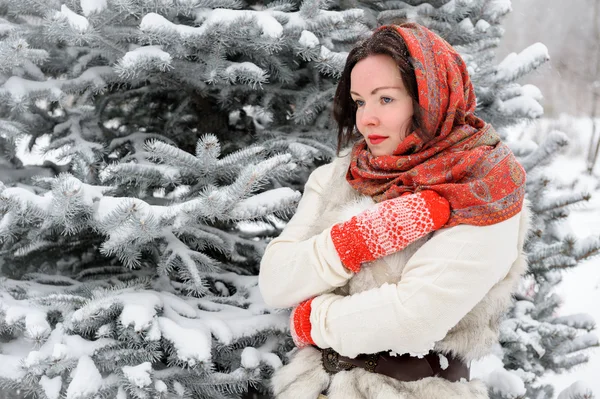 Mujer rusa joven en el parque de invierno — Foto de Stock