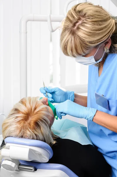 Dentista con paziente, pulizia e cura — Foto Stock