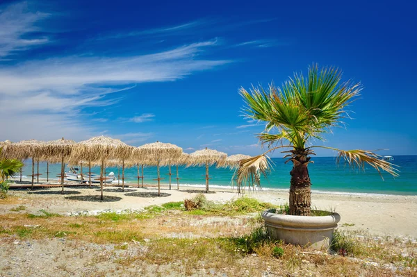 Reed umbrellas on the beach — Stock Photo, Image