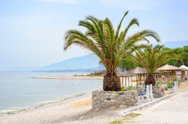 Palmiyeli deniz plajı