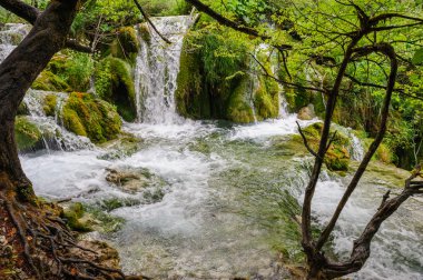 Hırvatistan 'ın Plitvice Lakes Ulusal Parkı' ndaki şelaleler