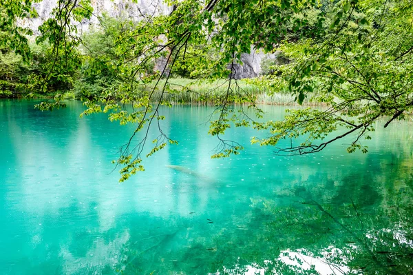 Plitvice Gölleri, Hırvatistan'ın temiz su