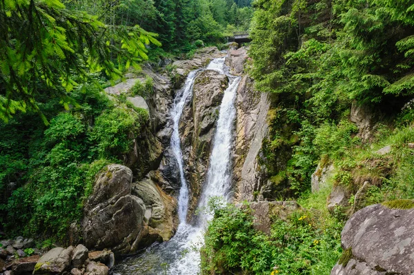 Chute d'eau en forêt profonde à la montagne — Photo