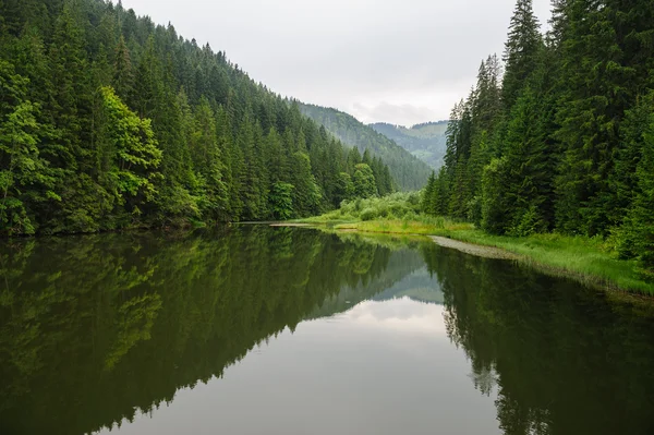 Také Rosu Red Lake, východní Karpaty, Rumunsko — Stock fotografie