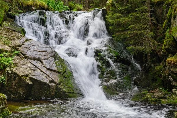 Chute d'eau en forêt profonde à la montagne — Photo