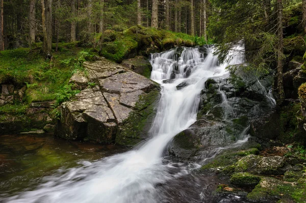 Chute d'eau en forêt profonde à la montagne — Photo