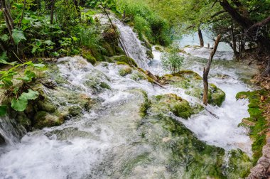 Hırvatistan 'ın Plitvice Lakes Ulusal Parkı' ndaki şelaleler