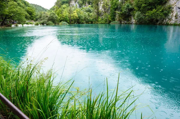 Čistá voda Plitvická jezera, Chorvatsko — Stock fotografie