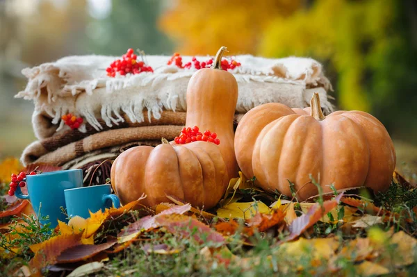Autumn thanksgiving still life — Stock Photo, Image