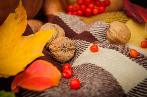 Romantische herfst stilleven — Stockfoto