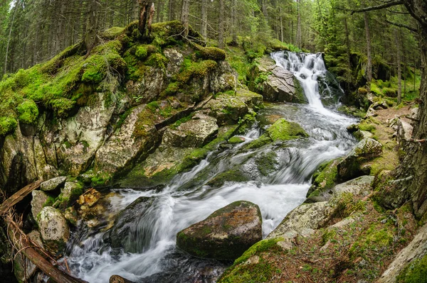 Chute d'eau en forêt profonde à la montagne — Photo